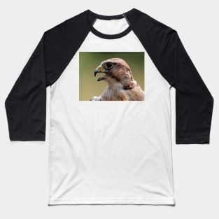 Saker Falcon Baseball T-Shirt